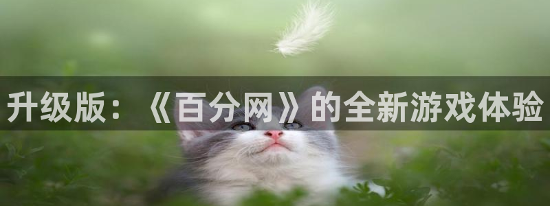 杏悦登陆地址：升级版：《百分网》的全新游戏体验