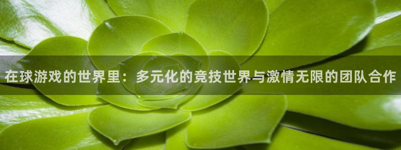 杏悦娱乐是什么平台播放：在球游戏的世界里：多元化的竞技世界与