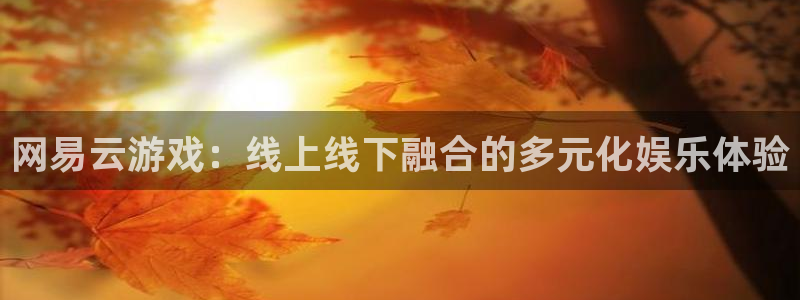 杏悦平台注册：网易云游戏：线上线下融合的多元化娱乐体验