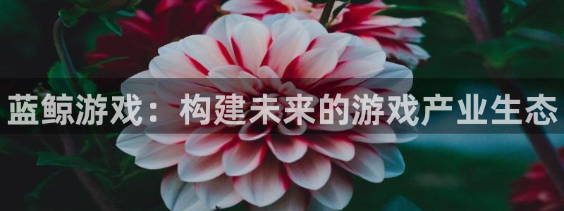 杏悦娱乐注册账号安全吗：蓝鲸游戏：构建未来的游戏产业生态