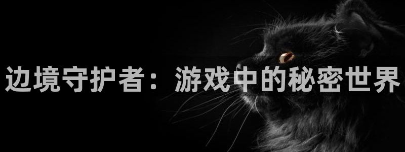 杏悦总代理：边境守护者：游戏中的秘密世界