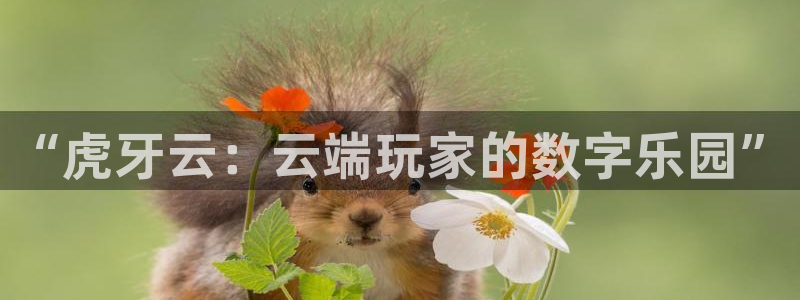 杏悦娱乐是什么：“虎牙云：云端玩家的数字乐园”