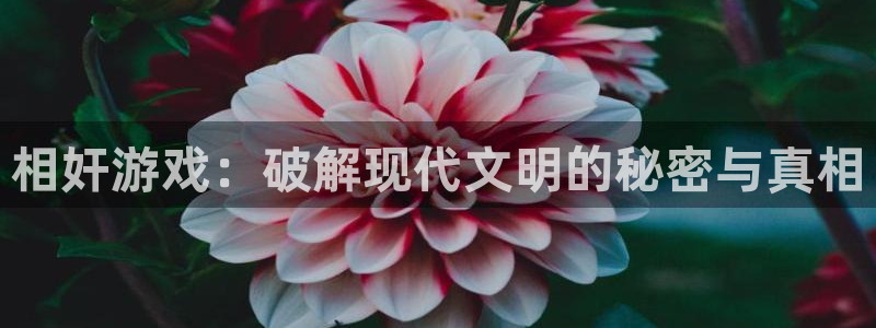杏悦娱乐注册地址是哪里的