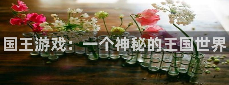 杏悦娱乐注册地址是哪里