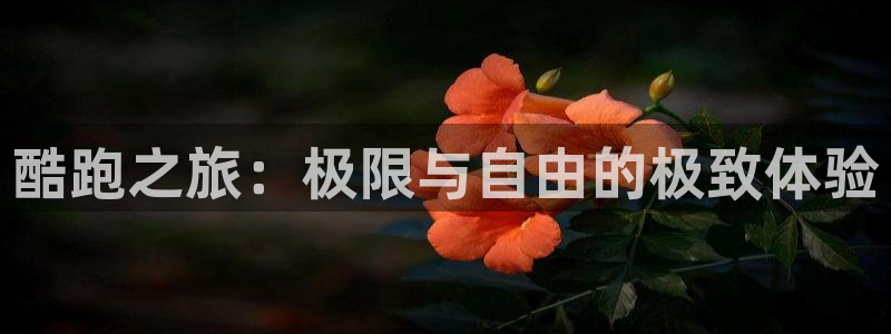 杏悦娱乐登录注册