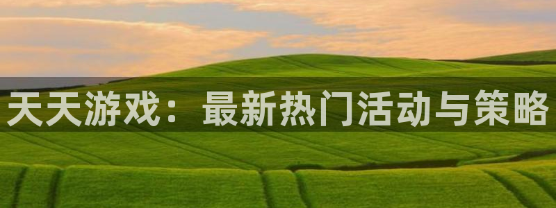 杏悦平台注册流程