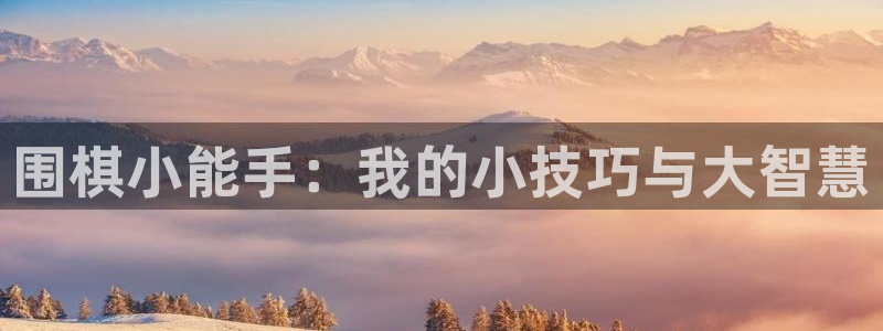 杏悦平台注册流程