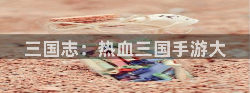 杏悦娱乐是什么：三国志：热血三国手游大