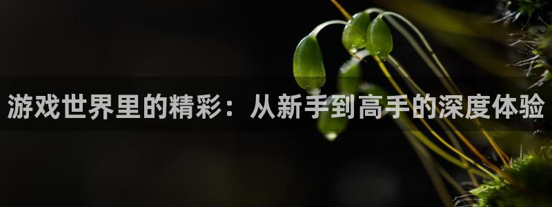 杏悦平台官网注册账号：游戏世界里的精彩：从新手到高手的深度体