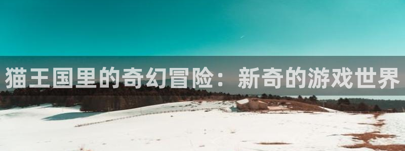 杏悦娱乐注册地址查询官网电话：猫王国里的奇幻冒险：新奇的游戏