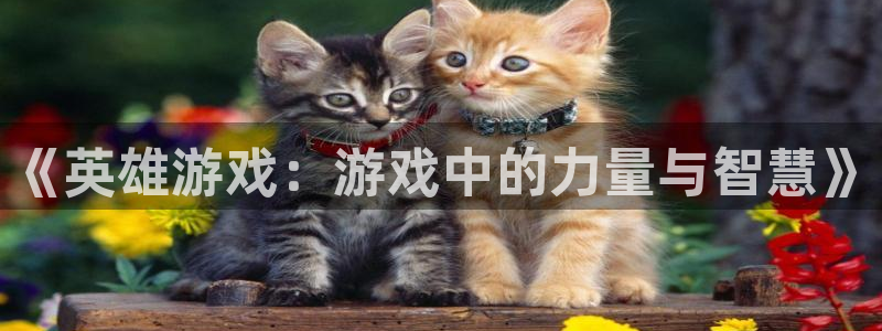 杏悦娱乐登录网页版：《英雄游戏：游戏中的力量与智慧》