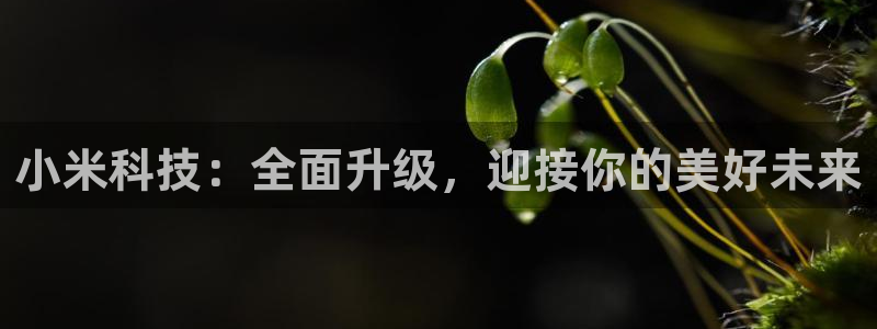 杏悦娱乐注册地址是哪里的：小米科技：全面升级，迎接你的美好未