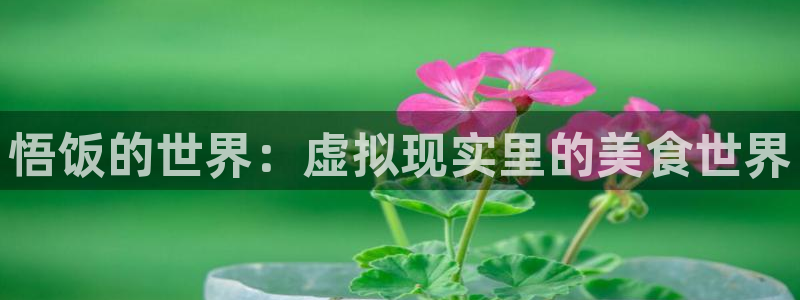 杏悦娱乐注册地址查询官网