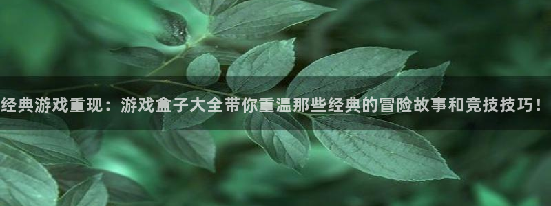 杏悦平台登录入口：经典游戏重现：游戏盒子大全带你重温那些经典
