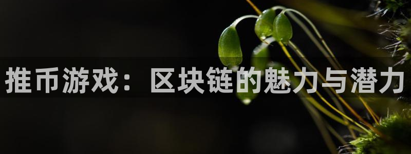 杏悦娱乐是什么平台