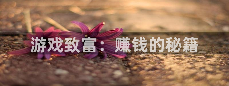 杏悦娱乐注册地址在哪里