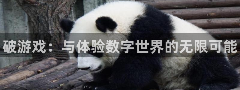 杏悦平台下载：破游戏：与体验数字世界的无限可能