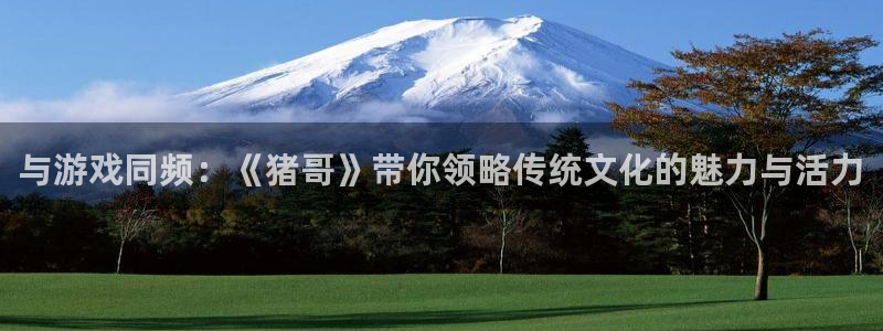 杏悦娱乐是什么平台的