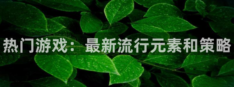 杏悦登录地址怎么打
